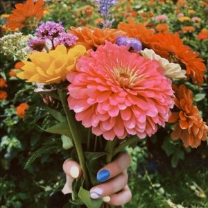 Meet your Posher, Kaitlyn